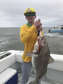 Galveston Report Photo 2