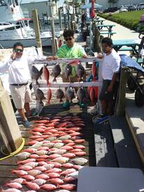 Panama City Beach Report Photo 1