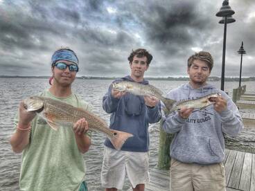 Redfish and Speckled Trout 
