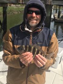 Foto Report Mount Pleasant 2