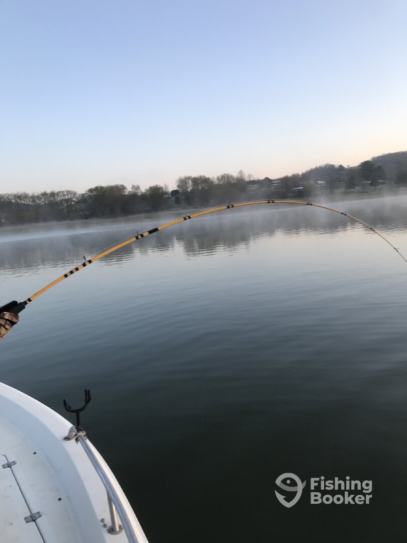 Rutledge Report Photo 0