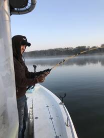 Rutledge Report Photo 1