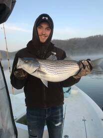 Rutledge Report Photo 2