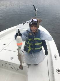 Mount Pleasant Report Photo 1