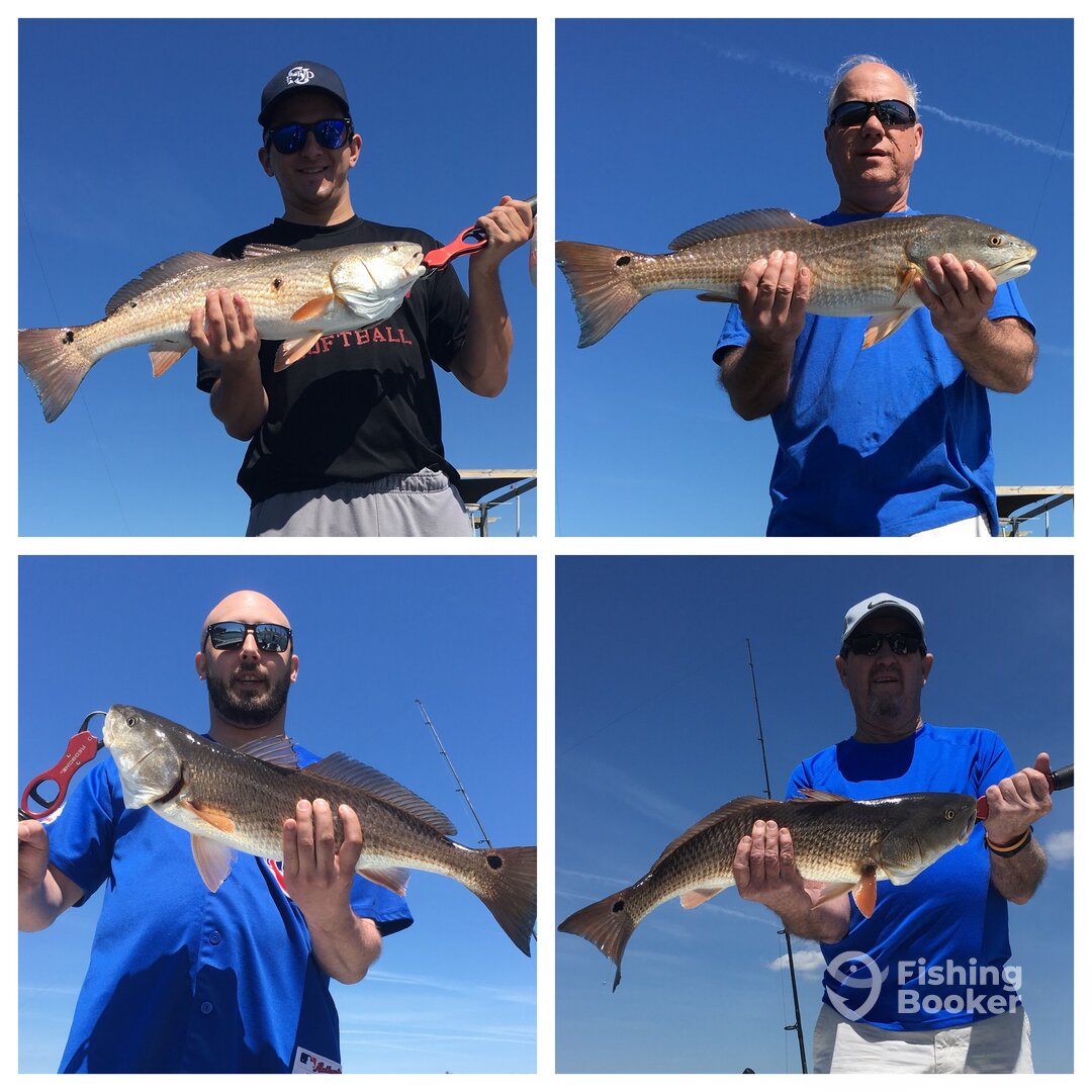 Mount Pleasant Report Photo 0