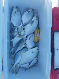 Bay Pines Report Photo 2