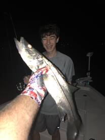 Foto Report Nokomis 1