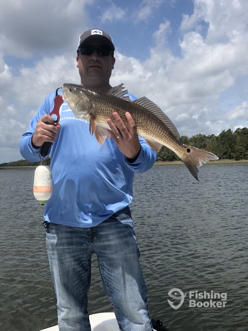 Mount Pleasant Report Photo 0