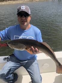 Mount Pleasant Report Photo 2