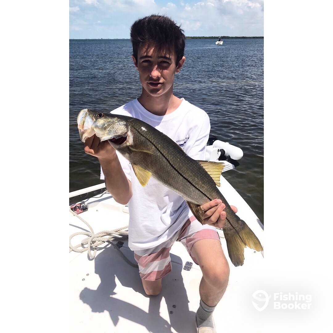 Sarasota Report Photo 0