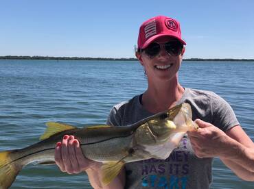 Sarasota Report Photo 1