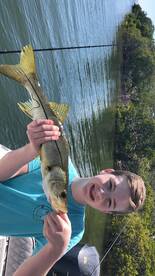 Sarasota Report Photo 2