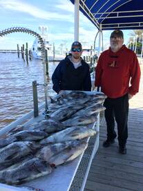 Biloxi Report Photo 2