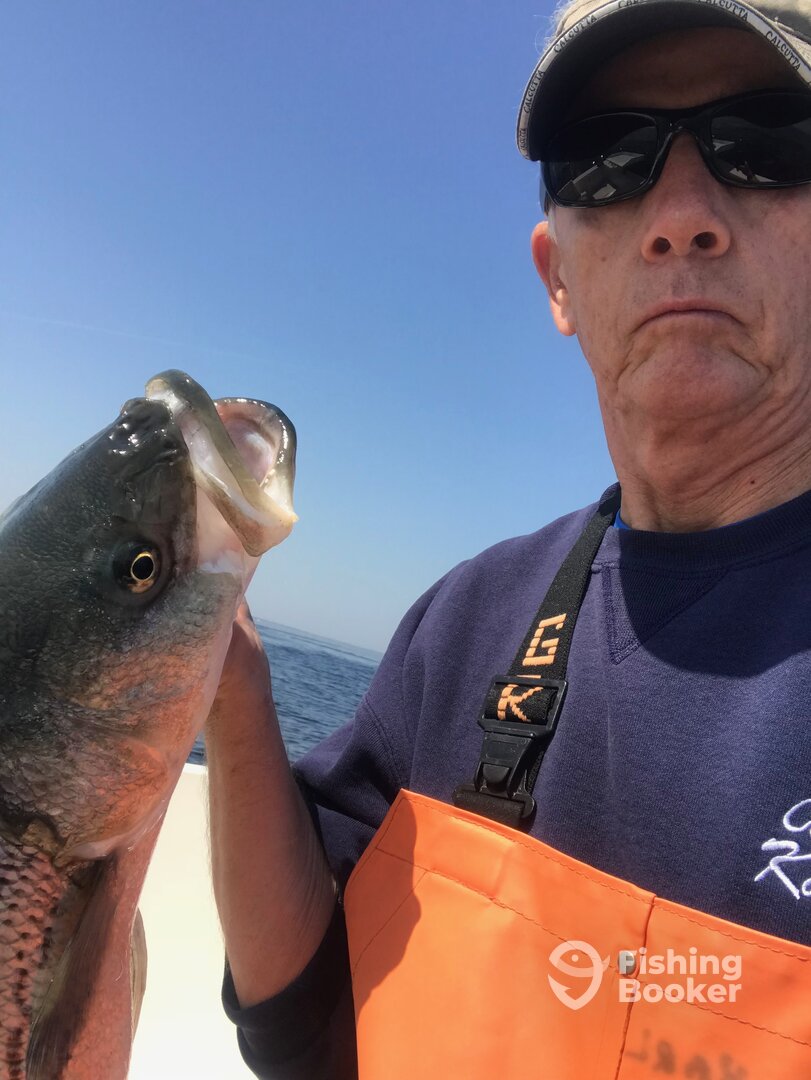 Highlands Report Photo 0