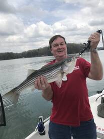 Cumming Report Photo 2