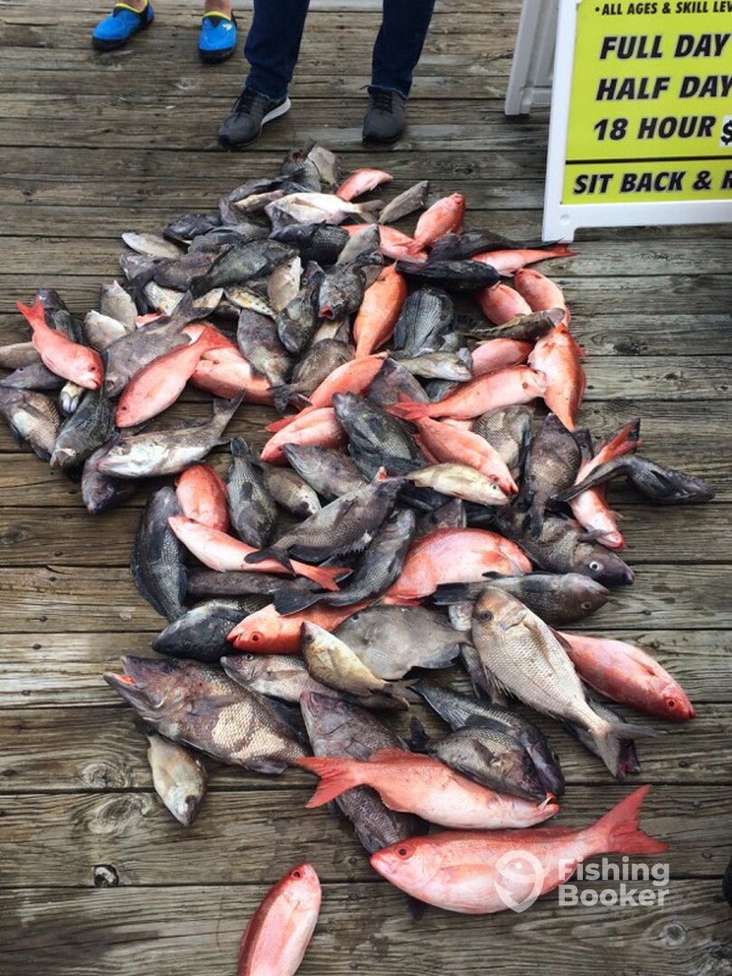  Got our limit of bass and snapper!