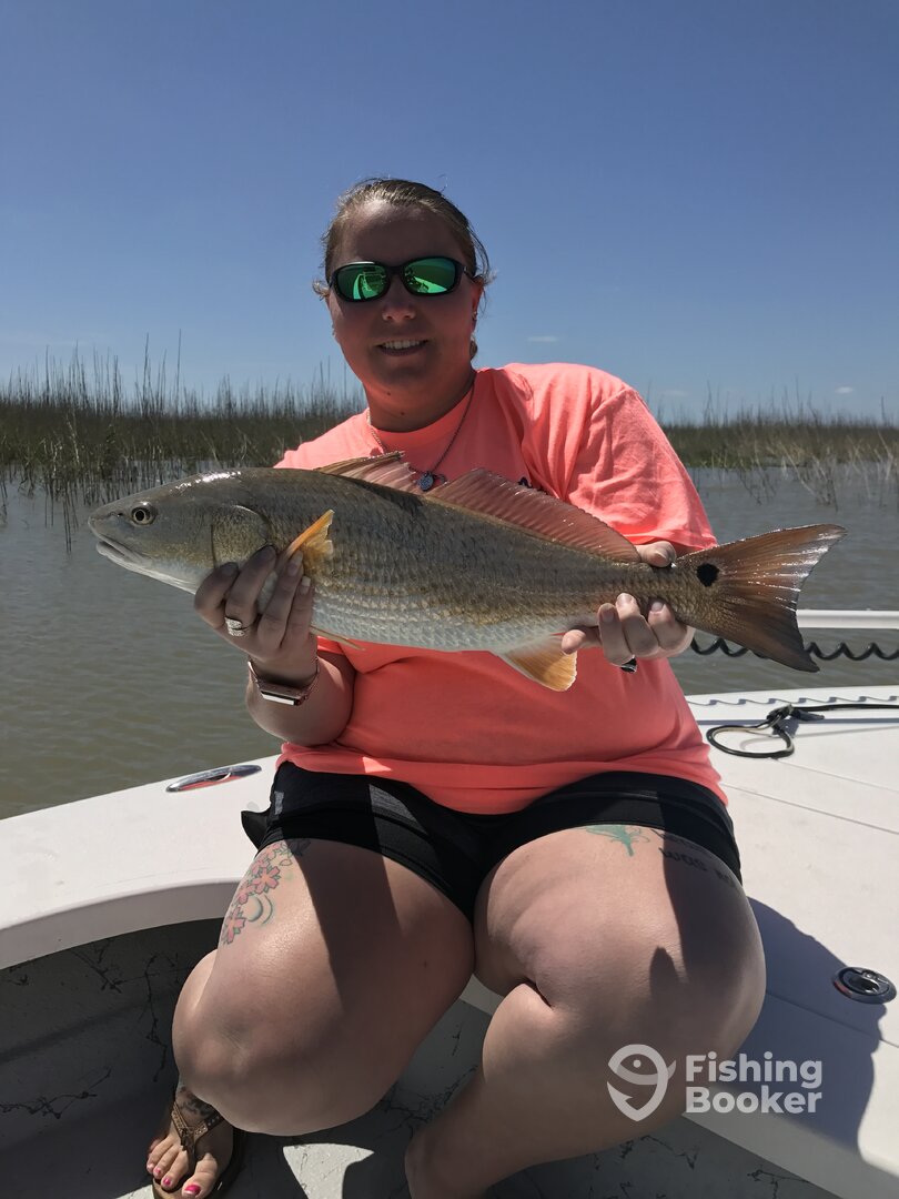 Venice Report Photo 0