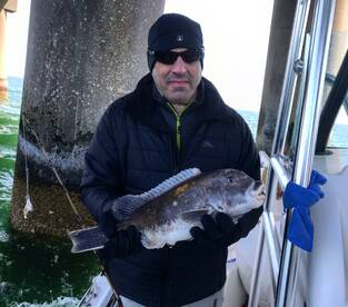 Virginia Beach Report Photo 1