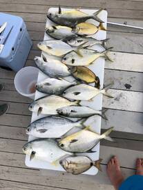 Orange Beach Report Photo 1