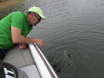 Santa Clara A Velha Report Photo 1