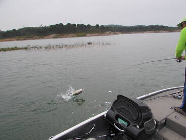 Santa Clara A Velha Report Photo 2