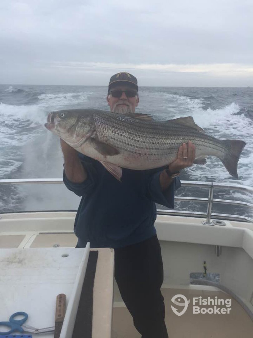 Montauk Report Photo 0