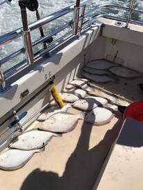 Montauk Report Photo 2