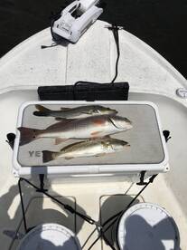 Tampa Report Photo 1