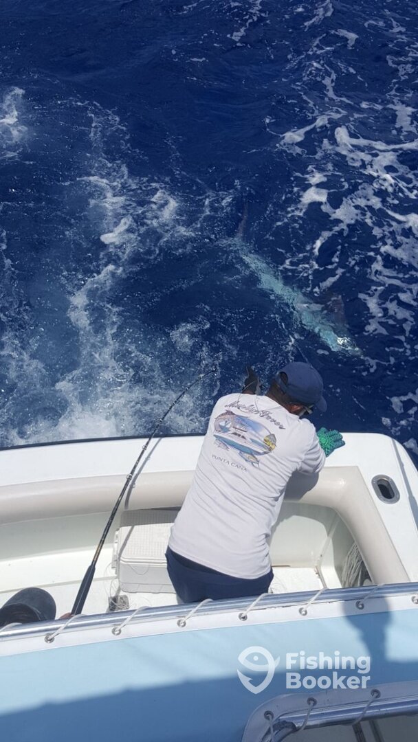 Punta Cana Report Photo 0