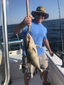 Orange Beach Report Photo 2