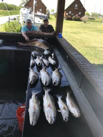 Venice Report Photo 2