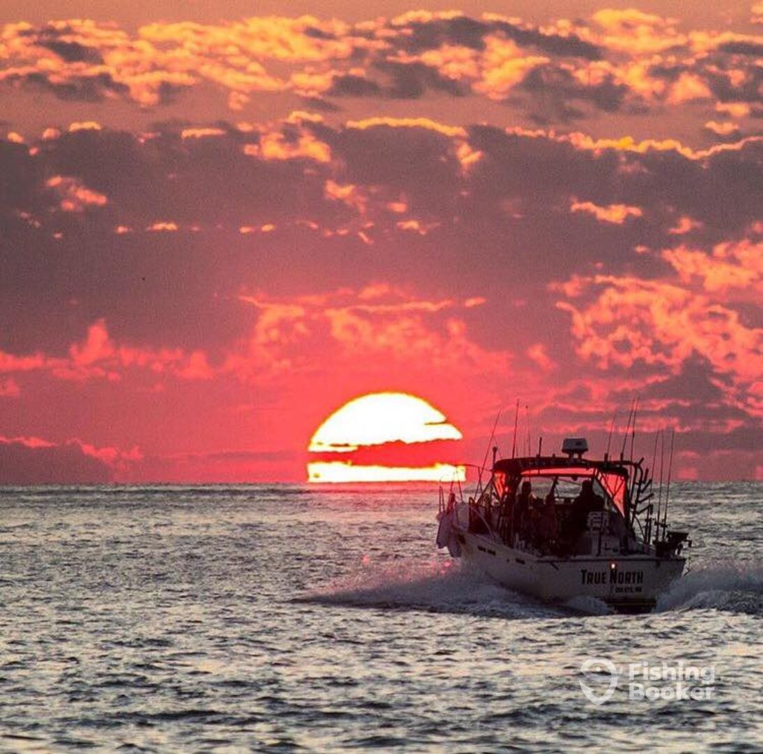 Duluth Report Photo 0