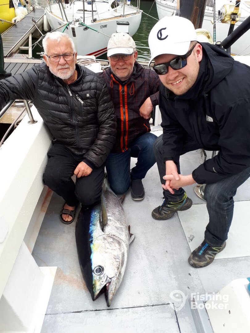 Funchal Report Photo 0