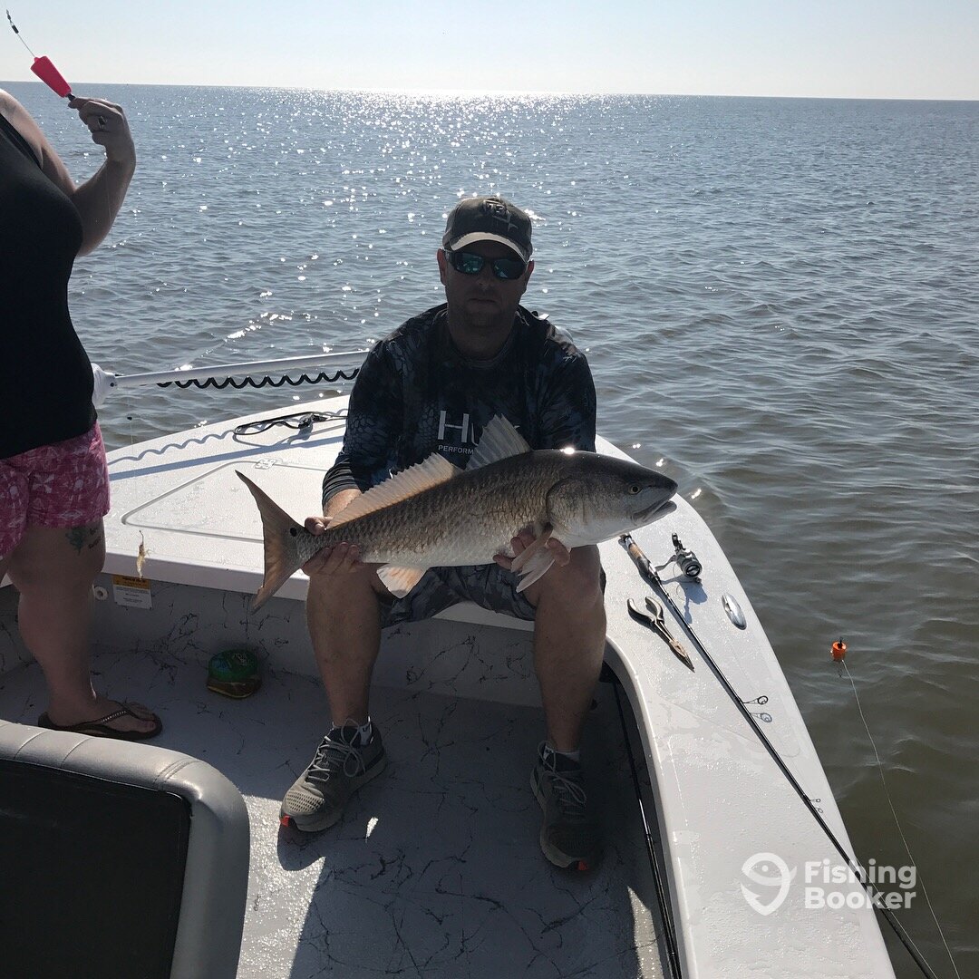 Venice Report Photo 0