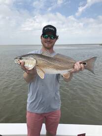 Venice Report Photo 1