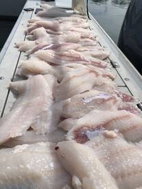 Reedsport Report Photo 2