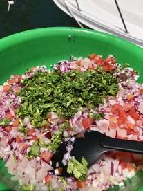 Puerto Aventuras Report Photo 2