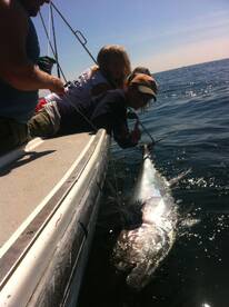 2015 Tuna Fishing Season Starting Soon