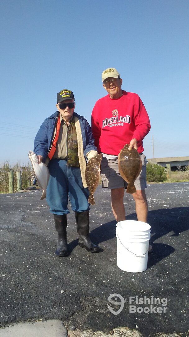 Some nice 20 inchers headed for the skillet!