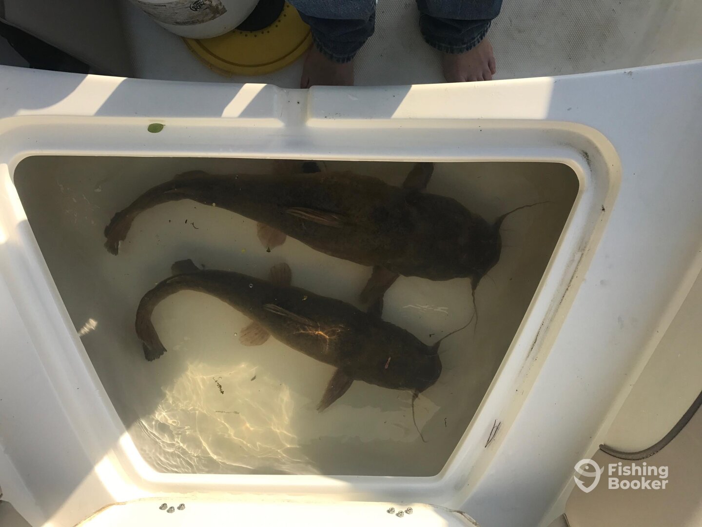 Ellijay Report Photo 0