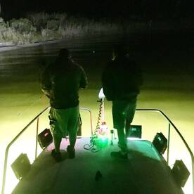 NEW NIGHT TIME BOW FISHING CHARTERS AVAI