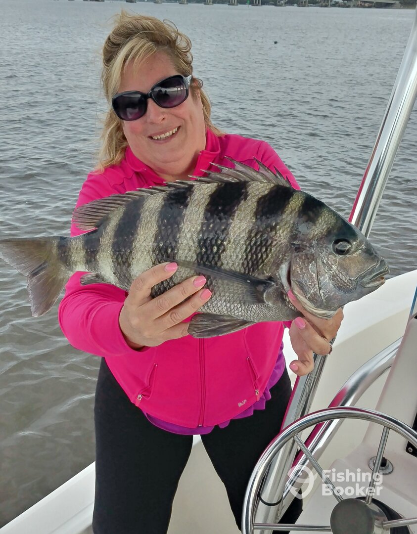 Port Orange Report Photo 0