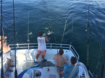 Orange Beach Report Photo 1