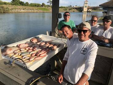 Few Red Grouper Mangrove, Lane and vermillion Snap