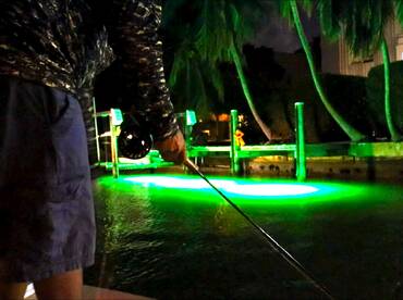 Miami Report Photo 1