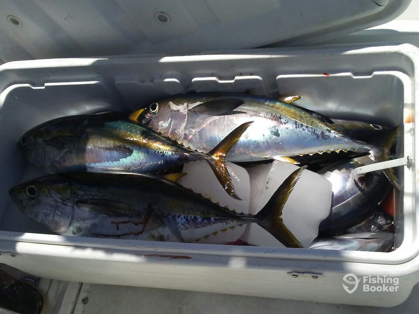 Cabo San Lucas Report Photo 0