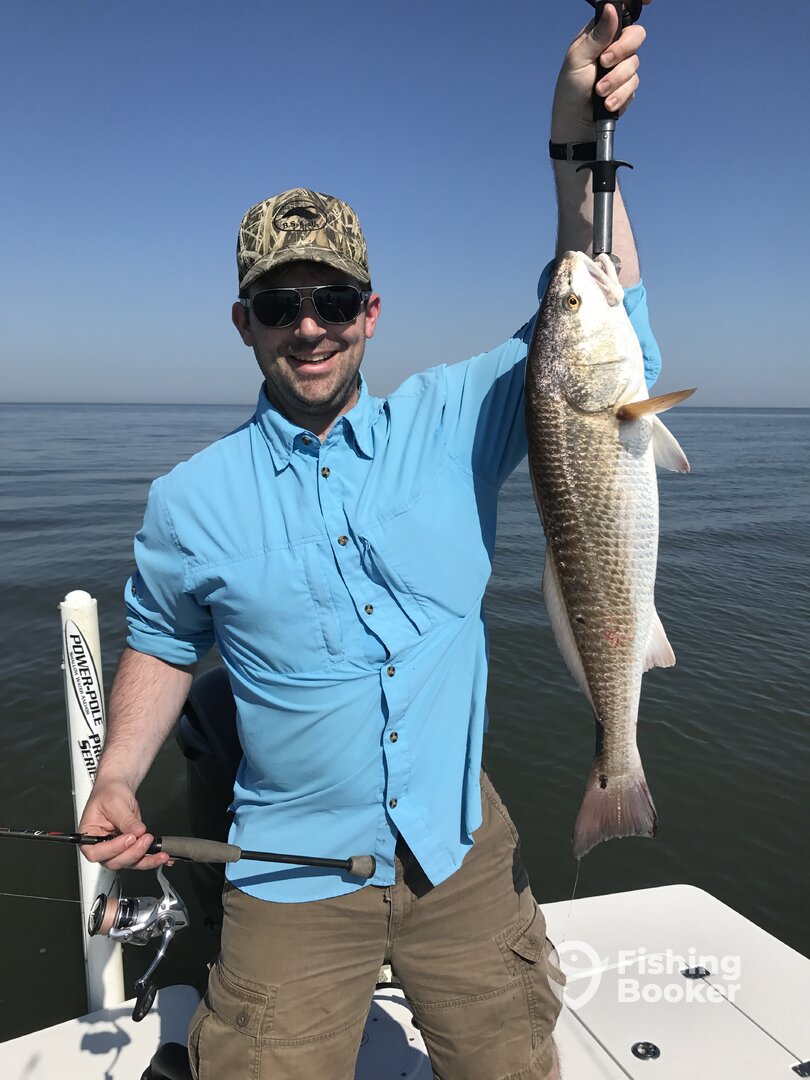 Venice Report Photo 0