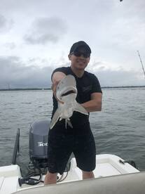 Mount Pleasant Report Photo 1