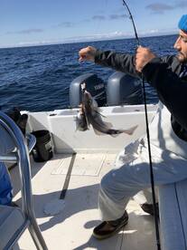 Bourne Report Photo 1