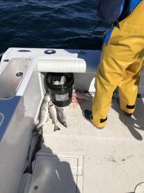 Bourne Report Photo 2